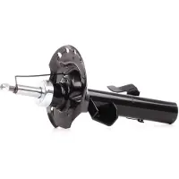 RIDEX 854S0091 Schokdemper