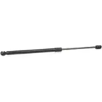 RIDEX 219G0955 Gasveer achterklep