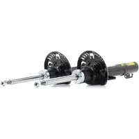 RIDEX 854S1248P Schokdemper