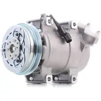 RIDEX 447K0353 Aircopomp