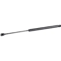 RIDEX 219G0360 Gasveer achterklep