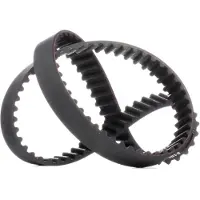 RIDEX 306T0101 Distributieriem