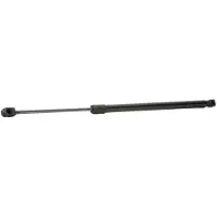 RIDEX 219G0711 Gasveer achterklep