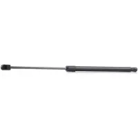 RIDEX 219G0183 Gasveer achterklep