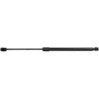 RIDEX 219G0232 Gasveer achterklep