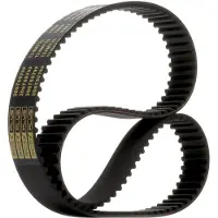 RIDEX 306T0079P Distributieriem