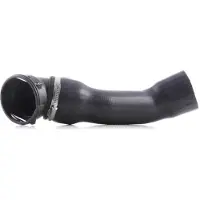 RIDEX 3314C0079 Laadluchtslang