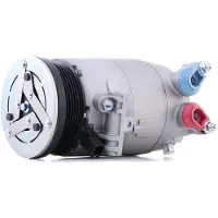 RIDEX 447K0658 Aircopomp