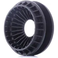 SASIC 2650043 Veerpootlager