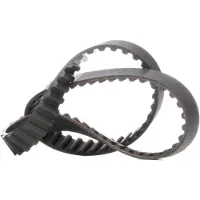 RIDEX 306T0058 Distributieriem