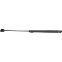 RIDEX 219G0775 Gasveer achterklep