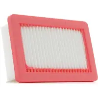 RIDEX 8A0734P Luchtfilter