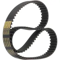 RIDEX 306T0204P Distributieriem
