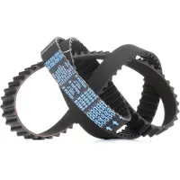 DAYCO 94658 Distributieriem