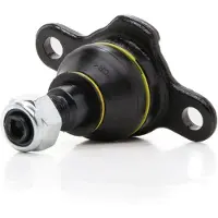 RIDEX 2462S0019P Fuseekogel