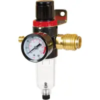 Einhell Filter + Drukregelaar - R 1/4" Buitendraad