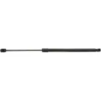 RIDEX 219G0044 Gasveer achterklep