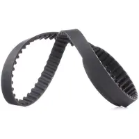 RIDEX 306T0032 Distributieriem