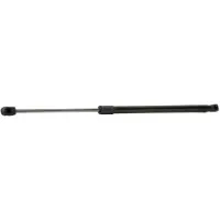 RIDEX 219G0336 Gasveer achterklep