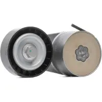 RIDEX 310T0045 Spanrol, poly V-riem