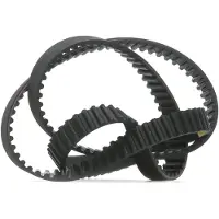 RIDEX 306T0041 Distributieriem