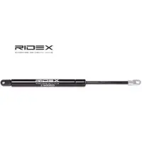 RIDEX 219G0053 Gasveer achterklep