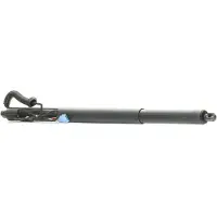 RIDEX 219G1033 Gasveer achterklep
