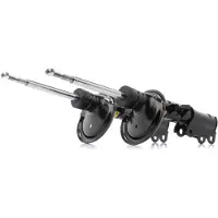 RIDEX 854S1552P Schokdemper