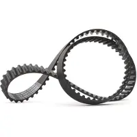RIDEX 306T0255 Distributieriem