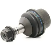 RIDEX 2462S0377 Fuseekogel