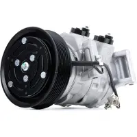 RIDEX 447K0319 Aircopomp