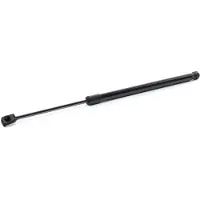 RIDEX 219G1006 Gasveer achterklep