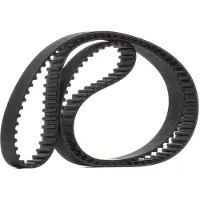 RIDEX 306T0109 Distributieriem
