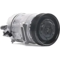 RIDEX 447K0254 Aircopomp
