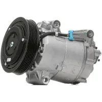 RIDEX 447K0084 Aircopomp