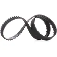 RIDEX 306T0091 Distributieriem