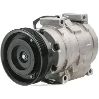 RIDEX 447K0388 Aircopomp