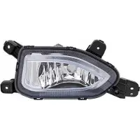 Diederichs 6815089 Mistlamp