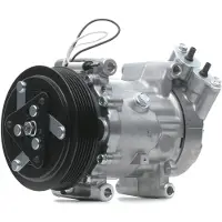 RIDEX 447K0299 Aircopomp