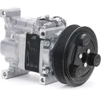RIDEX 447K0346 Aircopomp