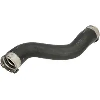 THERMOTEC Laadluchtslang DCM069TT