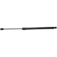 RIDEX 219G0643 Gasveer achterklep