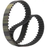 RIDEX 306T0163P Distributieriem