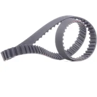 RIDEX 306T0062 Distributieriem