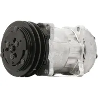 RIDEX 447K0614 Aircopomp