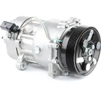 RIDEX 447K0060 Aircopomp