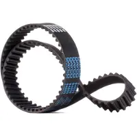 DAYCO 94809 Distributieriem