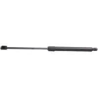 RIDEX 219G0048 Gasveer achterklep