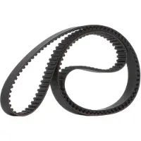 RIDEX 306T0176 Distributieriem