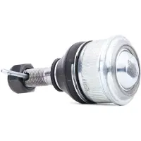 RIDEX 2462S0333 Fuseekogel